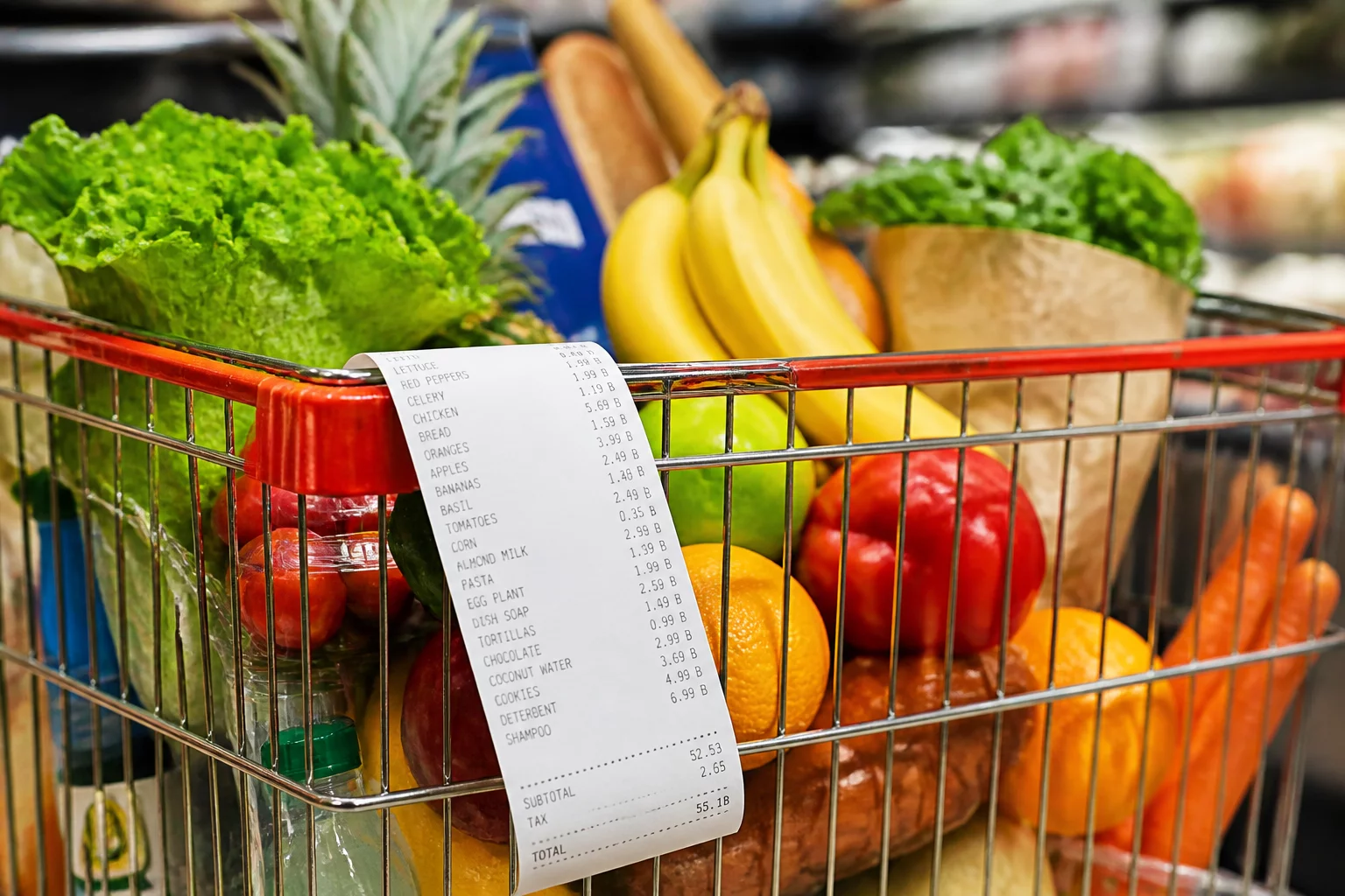 Grocery Budget Review